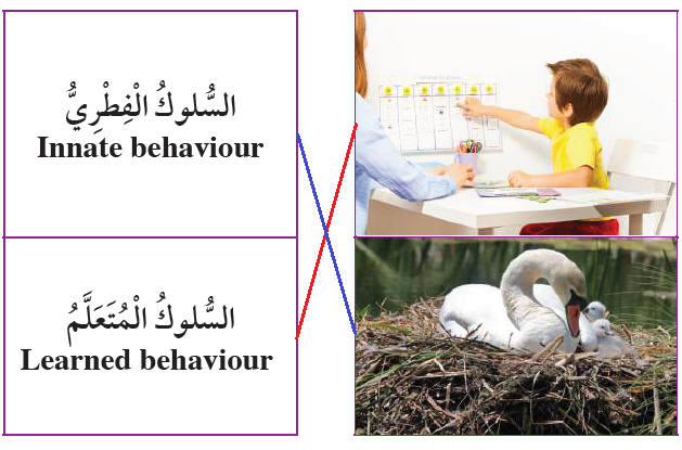 السلوك الفطري والسلوك المتعلم السلوك الفطري والسلوك المتعلم